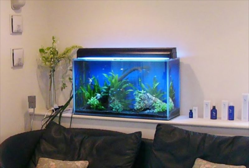 個人宅様　60cm淡水水槽を設置しました 水槽画像１